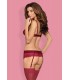 Сутиен, жартиери и прашка Wonderia ruby