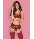 Сутиен, жартиери и прашка Wonderia ruby
